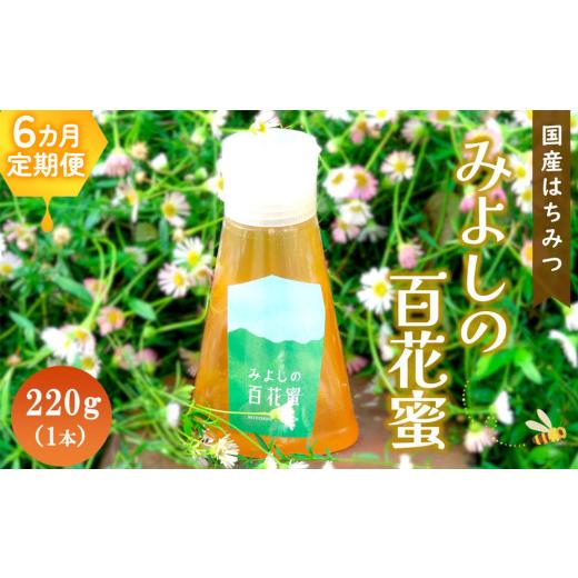 ふるさと納税 加工品等 はちみつ 佐賀県 基山町  6か月定期便 みよしの百花蜜 220g×1本 はちみつ 百花蜜 国産 ハゼの花 ミツバチ 甘み スッキリ トロトロ 1本…の画像