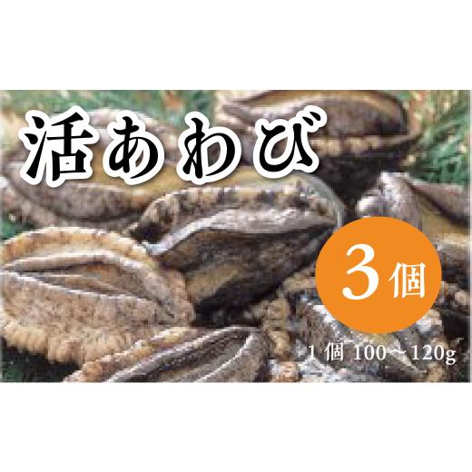 ふるさと納税 魚貝類 アワビ 岩手県 洋野町 天然活あわび 3個入り(1個100〜120g)お刺身 鮑 ステーキ 産地直送 冷蔵