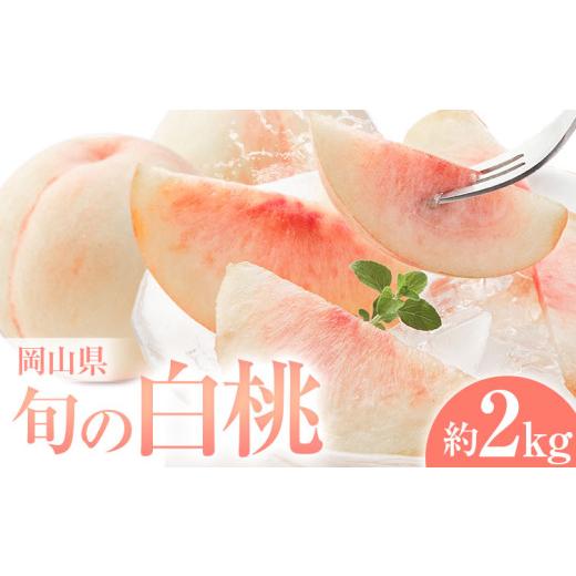 ふるさと納税 もも 岡山県 浅口市 岡山県の旬の白桃 約2kg 花田青果株式会社《6月下旬-8月下旬頃出荷予定(土日祝除く)》岡山県 浅口市 白桃 桃 もも 旬 フルー…_1