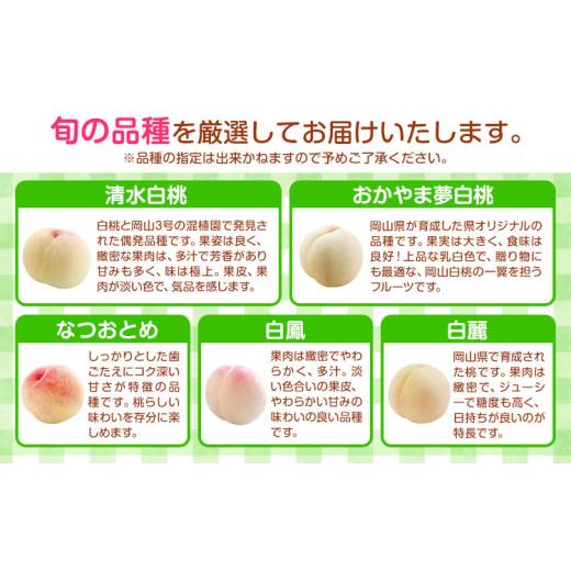 ふるさと納税 もも 岡山県 浅口市 岡山県の旬の白桃 約2kg 花田青果株式会社《6月下旬-8月下旬頃出荷予定(土日祝除く)》岡山県 浅口市 白桃 桃 もも 旬 フルー…_4