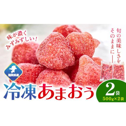 ふるさと納税 いちご 福岡県 小竹町 2026年度出荷 福岡県産 冷凍あまおう1kg(500g×2袋) 南国フルーツ株式会社[12月中旬-3月末頃出荷(土日祝除く)]福岡県 …