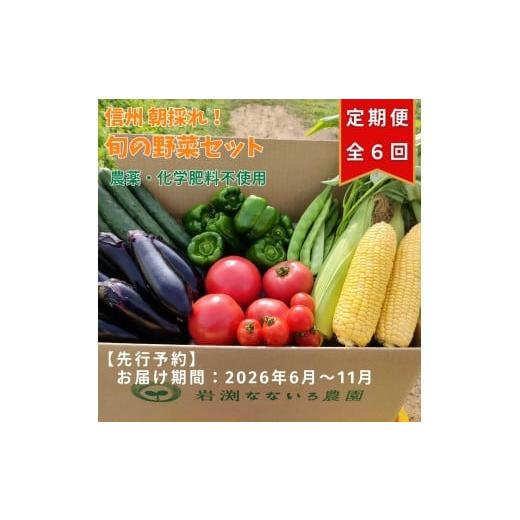 ふるさと納税 セット・詰合せ 長野県 佐久市 先行予約・定期便全6回[出荷時期:2026年6月〜11月出荷] 朝採れおまかせ旬の高原野菜 7種セット (北海道・沖縄…
