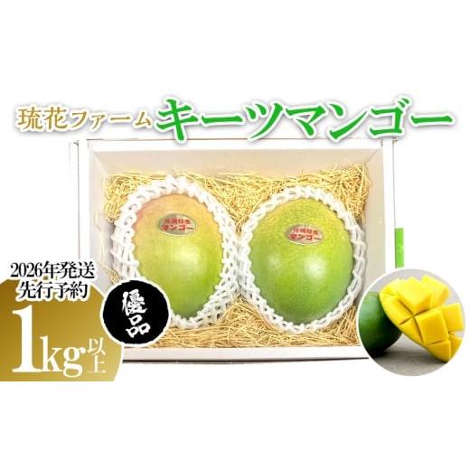 ふるさと納税 マンゴー 沖縄県 名護市 2026年発送先行予約 キーツマンゴー優品1kg以上 沖縄 おきなわ 優品 家庭用 先行予約 ふるさと納税 送料無料 甘味 糖度…