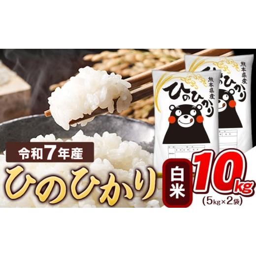 ふるさと納税 米 ヒノヒカリ 熊本県 津奈木町 令和7年産 白米 ひのひかり 10kg [7-14日以内に出荷予定(土日祝除く)] 令和7年産 熊本県産 ふるさと納税 精米…