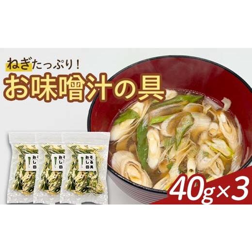 ふるさと納税 乾物 福島県 天栄村 天栄村名産のねぎたっぷり お味噌汁の具 40g×3パック F21T-323
