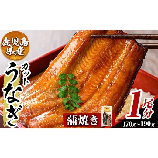 ふるさと納税 うなぎ 鹿児島県 姶良市 a982-A うなぎ蒲焼き・1尾分(170g〜190g) うえの屋 姶良市 うなぎ 鰻 ウナギ 蒲焼き 蒲焼 かばやき カット タレ 鹿児島 …