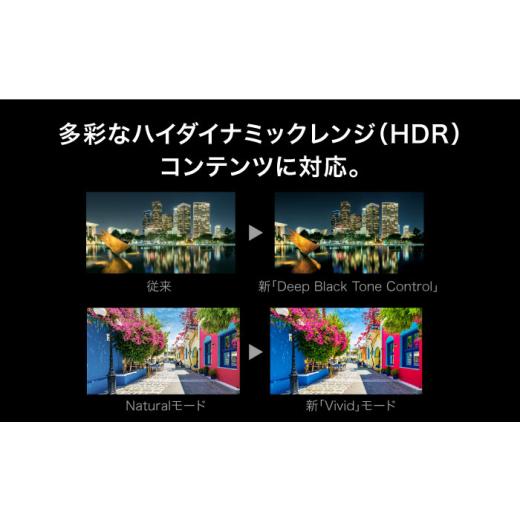 ふるさと納税 電化製品 神奈川県 横須賀市 プロジェクター Victor 4K D-ILA DLA-Z5-B（ブラック） ビジネス 会議 ホームシアター 株式会社ＪＶＣケンウッド AK…の画像