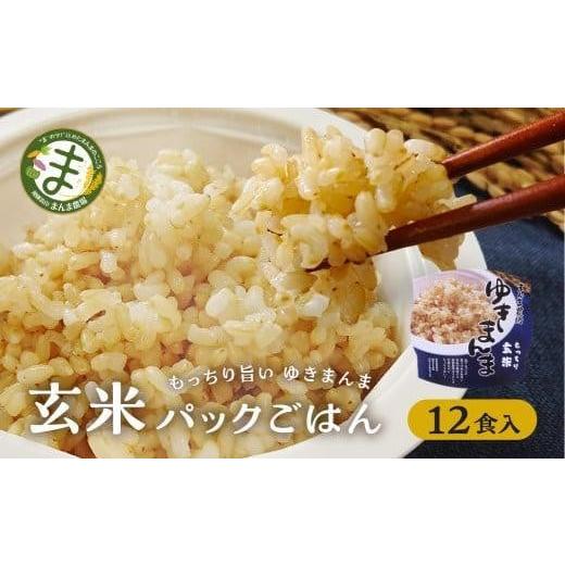 ふるさと納税 米 岐阜県 高山市 寄附額見直しました 玄米パックごはんもっちり旨いゆきまんま玄米(12食入)1食150g | パックご飯 玄米 お手軽 レンジ調理 玄…