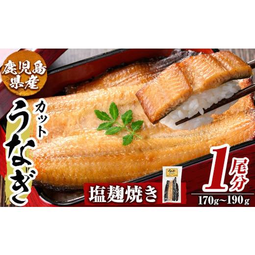 ふるさと納税 うなぎ 鹿児島県 姶良市 a982-C うなぎ塩麹焼き・1尾分(170g〜190g) うえの屋 姶良市 うなぎ 鰻 ウナギ 塩こうじ 塩麹 焼き カット 鹿児島 国産 …