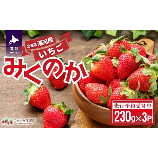 ふるさと納税 いちご 北海道 浦河町 先行受付開始 北海道浦河産いちご「みくのか」230g×3P