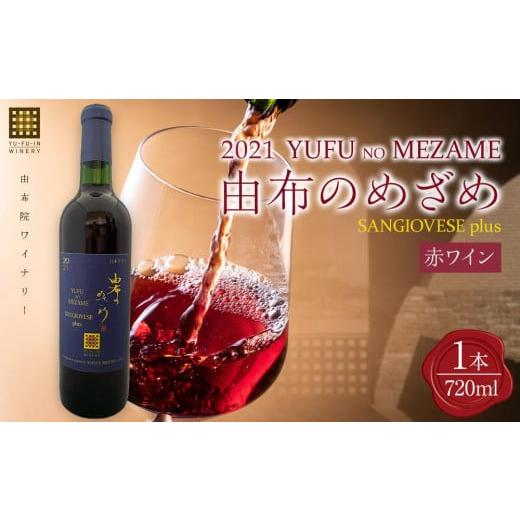 ふるさと納税 ワイン 赤ワイン 大分県 由布市 由布のめざめ 2021 赤ワイン 720ml×1本 由布院ワイナリー