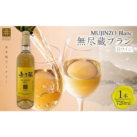 ふるさと納税 ワイン 白ワイン 大分県 由布市 無尽蔵ブラン 白ワイン 720ml×1本 由布院ワイナリー