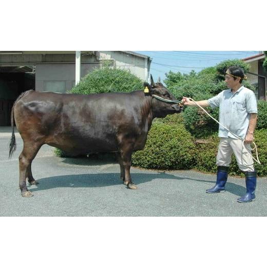 ふるさと納税 牛肉 すき焼き 三重県 松阪市 松阪肉元祖 和田金 すき焼用 上肉折詰 400g ( 牛肉 ブランド牛 高級 和牛 国産牛 松阪牛 松坂牛 すき焼き 牛肉すき…_7