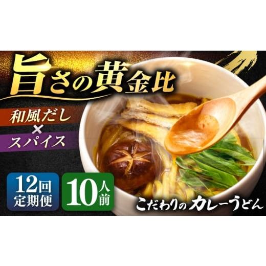 ふるさと納税 うどん 生・半生めん 愛知県 愛西市 10人前×12回定期便 うどん カレーうどん 10人前×12ヵ月 お取り寄せ ご当地 麺 うどん麺 名古屋 名物 七五…