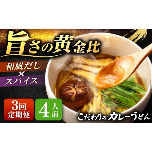ふるさと納税 うどん 生・半生めん 愛知県 愛西市 4人前×3回定期便 うどん カレーうどん 4人前×3ヵ月 お取り寄せ ご当地 麺 うどん麺 名古屋 名物 七五八庵…