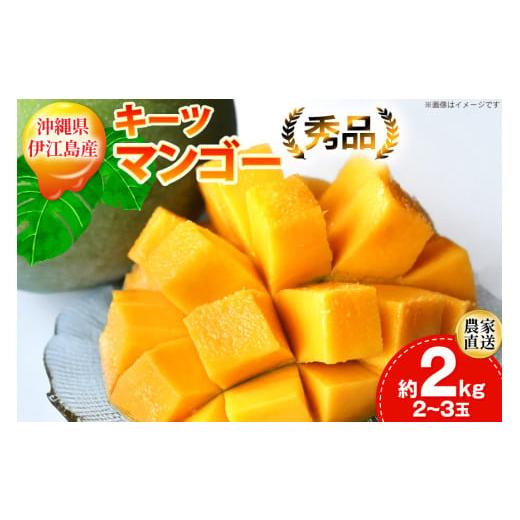 ふるさと納税 マンゴー 沖縄県 伊江村 期間限定発送 キーツ マンゴー 秀品 約 2kg (2〜3玉) 伊江村マンゴー部会 沖縄県 伊江村 ie47bde320009 キーツマンゴー…