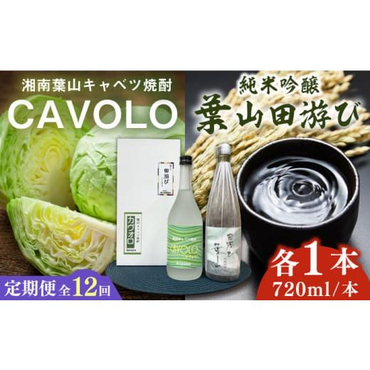 ふるさと納税 日本酒 純米吟醸酒 神奈川県 葉山町 全12回定期便 純米吟醸「葉山田游び」&湘南葉山キャベツ焼酎「CAVOLO」セット / お酒 純米吟醸 焼酎 日本…