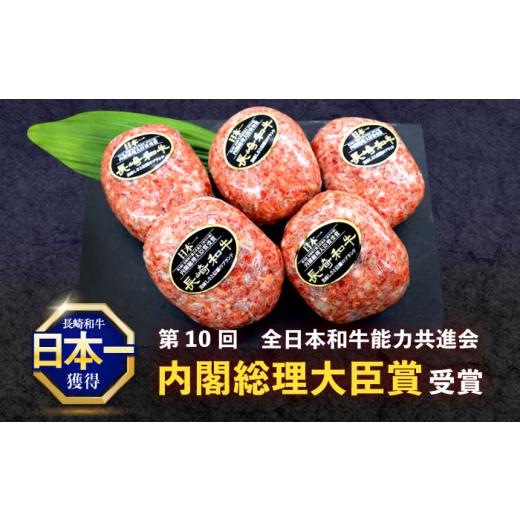 ふるさと納税 牛肉 ハンバーグ 長崎県 川棚町 12回定期便 長崎和牛 ハンバーグ 10個 国産和牛 ハンバーグ 焼くだけ 冷凍 ハンバーグ 個包装 長崎県 川棚町 冷…