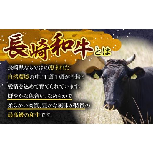 ふるさと納税 牛肉 ハンバーグ 長崎県 川棚町 12回定期便 長崎和牛 ハンバーグ 10個 国産和牛 ハンバーグ 焼くだけ 冷凍 ハンバーグ 個包装 長崎県 川棚町 冷…