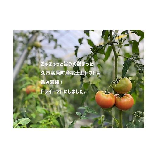 ふるさと納税 野菜類 トマト 愛媛県 久万高原町 ドライトマト 150g｜旨味凝縮（約15〜20倍）久万高原町産 桃太郎トマト使用｜升田農園 料理用 おつまみ 2026年…_2
