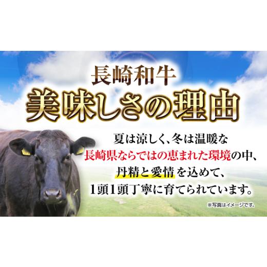 ふるさと納税 牛肉 ステーキ 長崎県 壱岐市  全12回定期便 長崎和牛 希少部位 赤身 ステーキ 200g×2 《壱岐市》 KRAZY MEAT 和牛 肉 牛肉 BBQ 冷凍 A5 A4 JER…_6