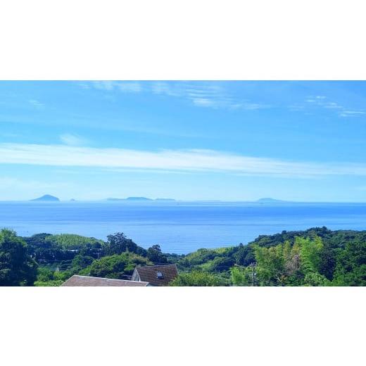 ふるさと納税 イベントやチケット等 静岡県 東伊豆町  電源付オートサイト キャンプ道具一式レンタル付 ストーンチェアキャンプ場1区画1泊宿泊券 1262_5