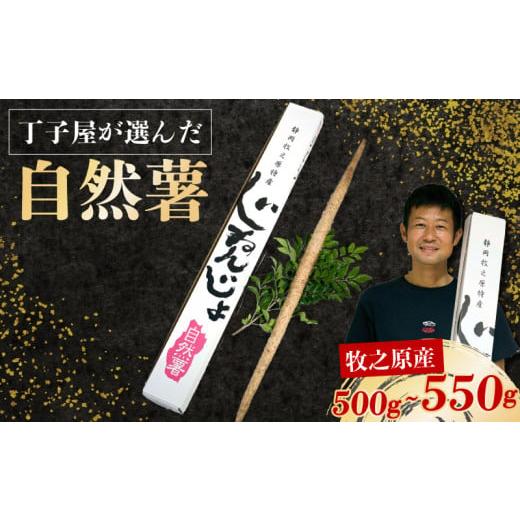 ふるさと納税 じゃがいも・サツマイモ 静岡県 牧之原市 R7年12月上旬からの発送 丁子屋が選んだ 自然薯 台地のご馳走 500 g 〜550 g 新鮮 健康 長寿 とろろ …
