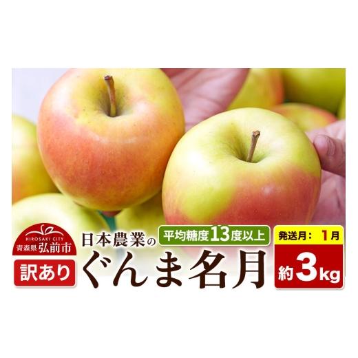 ふるさと納税 りんご 青森県 弘前市 27年1月発送 りんご ぐんま名月 訳あり 約3kg 平均糖度13度以上 青森県 弘前市 果物 フルーツ 林檎 リンゴ くだもの 不揃…