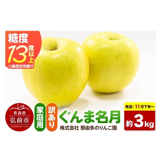 ふるさと納税 りんご 青森県 弘前市 26年11月下旬〜発送 りんご ぐんま名月 訳あり 約3kg 糖度13度以上(糖度証明書付) 先行受付 家庭用 青森県 弘前市 果物…