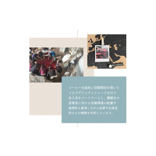 ふるさと納税 コーヒー コーヒー豆 新潟県 村上市  定期便：12ヶ月連続でお届け シングルオリジンコーヒー 100g × 3品種（豆）計300g×12ヶ月 1075017 コーヒ…の画像