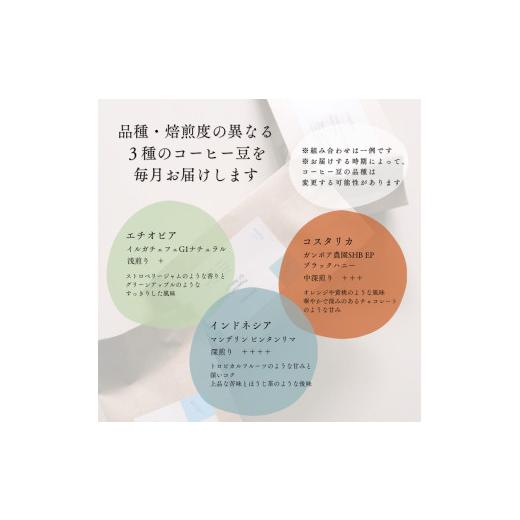 ふるさと納税 コーヒー コーヒー粉 新潟県 村上市  定期便：12ヶ月連続でお届け シングルオリジンコーヒー 100g × 3品種（中挽き）計300g×12ヶ月 1075018 コ…の画像
