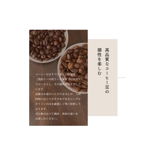 ふるさと納税 コーヒー コーヒー粉 新潟県 村上市  定期便：12ヶ月連続でお届け シングルオリジンコーヒー 100g × 3品種（中挽き）計300g×12ヶ月 1075018 コ…の画像