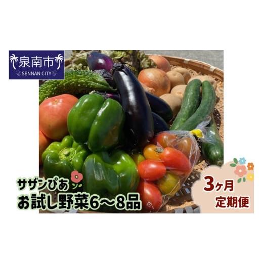 ふるさと納税 セット・詰合せ 大阪府 泉南市 サザンぴあ お試し野菜6〜8品 3ヶ月定期便 015B-002の画像