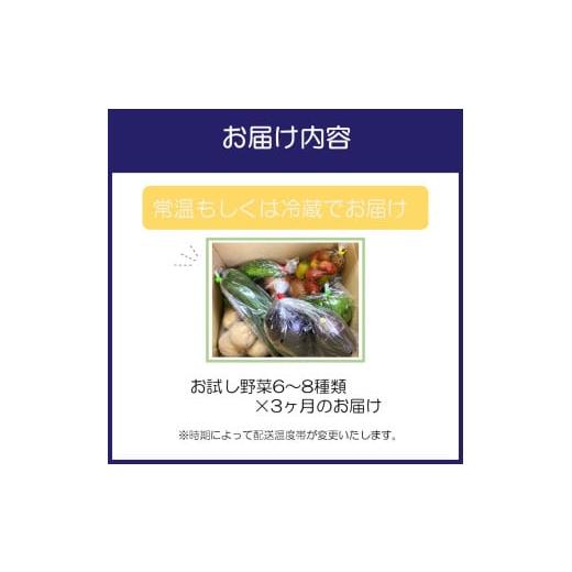 ふるさと納税 セット・詰合せ 大阪府 泉南市 サザンぴあ お試し野菜6〜8品 3ヶ月定期便 015B-002の画像