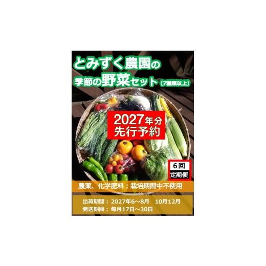 ふるさと納税 セット・詰合せ 長野県 佐久市 2027年夏出荷開始・6回定期便 産地直送 旬の高原野菜セット(北海道・沖縄県・離島は配送不可) 長野 信州 無農薬 …