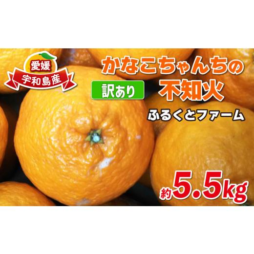ふるさと納税 みかん・柑橘類 愛媛県 宇和島市 訳あり 不知火 ( デコポン と同品種) 約5.5kg ふるくとファーム しらぬい 先行予約 果物 くだもの わけあり 訳…