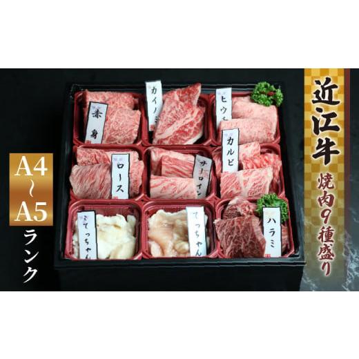 ふるさと納税 牛肉 焼肉・バーベキュー 滋賀県 竜王町 3月発送 近江牛 焼肉 9種 盛り合わせ 360g 冷凍 A4 A5 ( 近江牛 カルビ ロース ハラミ こてっちゃん て…