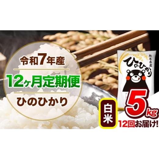 ふるさと納税 米 ヒノヒカリ 熊本県 玉東町 12ヶ月定期便 令和7年産 定期便 ひのひかり 5kg [お申込み翌月から出荷]令和7年産 熊本県産 ふるさと納税 白米 …