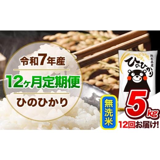 ふるさと納税 無洗米 熊本県 玉東町 12ヶ月定期便 令和7年産 定期便 無洗米 ひのひかり 5kg [お申込み翌月から出荷]令和7年産 熊本県産 ふるさと納税 精米 …