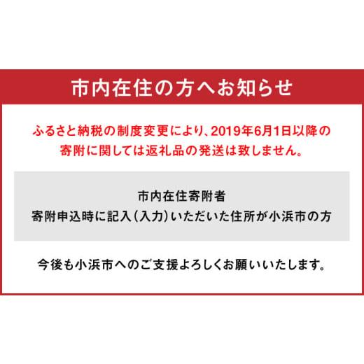 ふるさと納税 防災グッズ 福井県 小浜市 緊急防災２４点セット ／ 防災グッズ 災害 地震 備蓄 ／ 小浜市 ／ 岸田産業 BFDJ002-1 24点セットの画像
