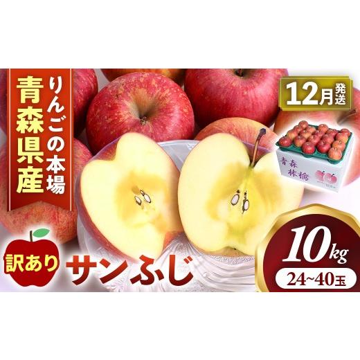 ふるさと納税 りんご 青森県 三戸町 訳あり りんご サンふじ 約10kg(24〜40玉) 2026年産・先行予約 2026年12月発送予定 旬のりんご 青森県産リンゴ 三戸町…