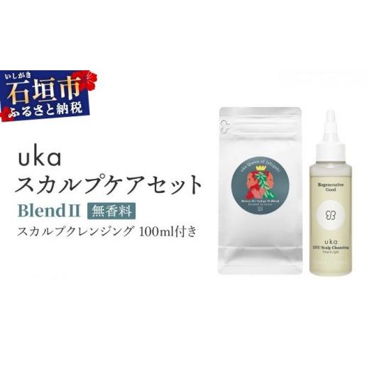ふるさと納税 美容 沖縄県 石垣市 石垣島産ヘナ使用 uka スカルプケアセット BlendII (無香料) スカルプクレンジング 100ml付き KU-007_B2 ヘナ30%/インディ…