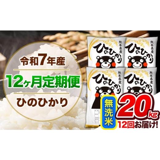 ふるさと納税 無洗米 熊本県 玉東町 12ヶ月定期便 令和7年産 定期便 無洗米 ひのひかり20kg [お申込み翌月から出荷]令和7年産 熊本県産 ふるさと納税 精米 …