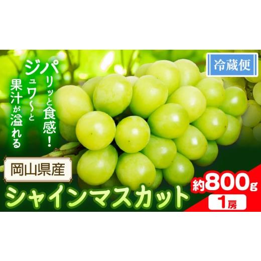 ふるさと納税 ぶどう マスカット 岡山県 浅口市 シャインマスカット 800g以上(1房) 配送不可地域あり 花田青果株式会社[9月上旬-10月末頃出荷]マスカット 送…
