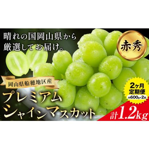 ふるさと納税 ぶどう マスカット 岡山県 浅口市 2026年先行予約 ぶどう プレミアム シャインマスカット定期便 9月 10月発送 船穂 赤秀品 晴王 計1.2kg(約600g…