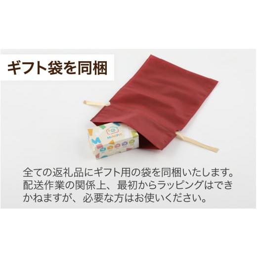 ふるさと納税 TV・オーディオ・カメラ 福井県 福井市 ミニピク キッズカメラ A-169002 ／ キッズカメラ MiNiPiC? ミニピク トイカメラ スマホ転送可能 SDカー…