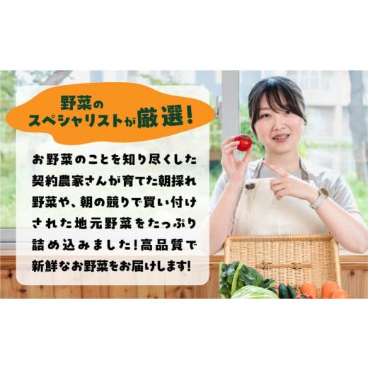 ふるさと納税 セット・詰合せ 愛知県 田原市 あつみの旬の野菜BOX 旬 野菜 野菜セット 詰合せ 田原市 渥美フーズ さつまいも ほうれんそう とうもろこし トウ…の画像