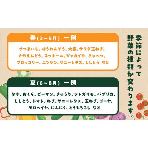 ふるさと納税 セット・詰合せ 愛知県 田原市 あつみの旬の野菜BOX 旬 野菜 野菜セット 詰合せ 田原市 渥美フーズ さつまいも ほうれんそう とうもろこし トウ…の画像