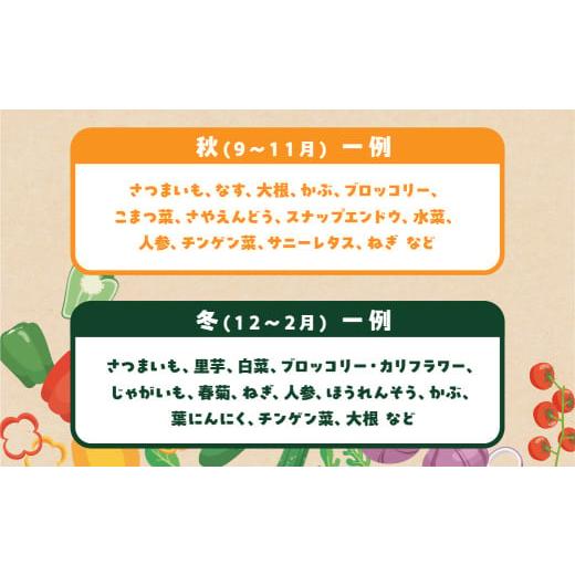 ふるさと納税 セット・詰合せ 愛知県 田原市 あつみの旬の野菜BOX 旬 野菜 野菜セット 詰合せ 田原市 渥美フーズ さつまいも ほうれんそう とうもろこし トウ…の画像