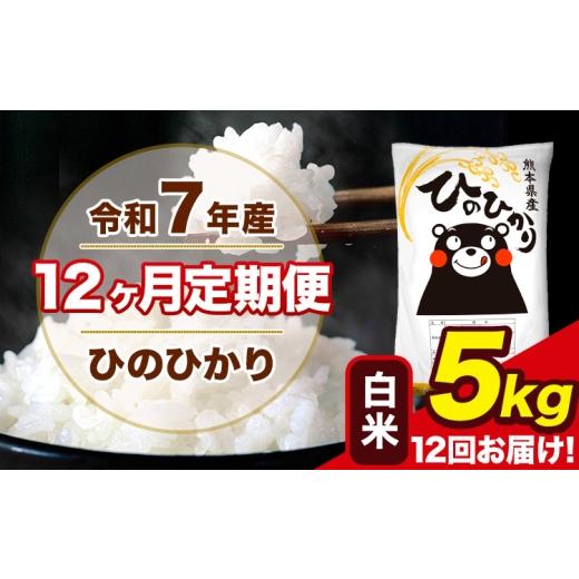 ふるさと納税 米 ヒノヒカリ 熊本県 荒尾市 令和7年産 12ヶ月定期便 ひ 